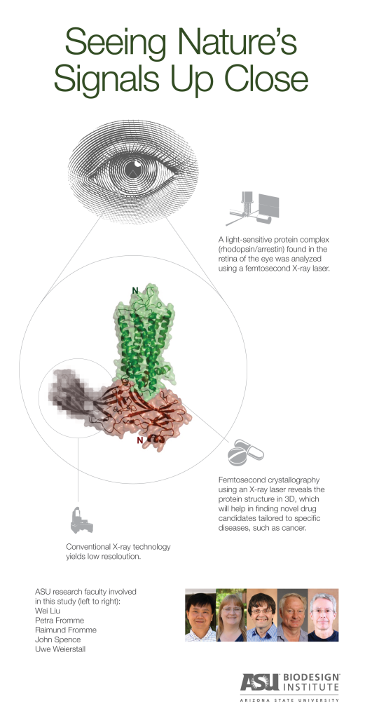 ASU Rhodopsin_infographic_0723