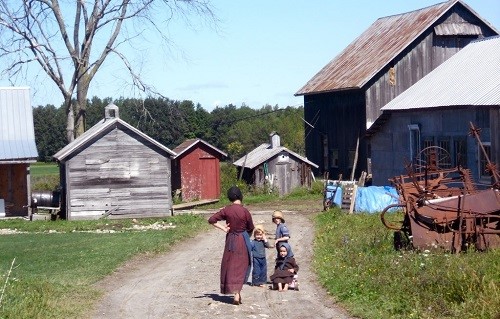 Children amish farm UA