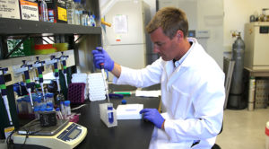 Benjamin Renquist, PhD, in his lab at the UA Agricultural Center. Photo: Paul Tumarkin/Tech Launch Arizona