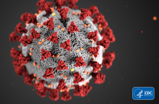 CDC Information Page – Coronavirus.gov