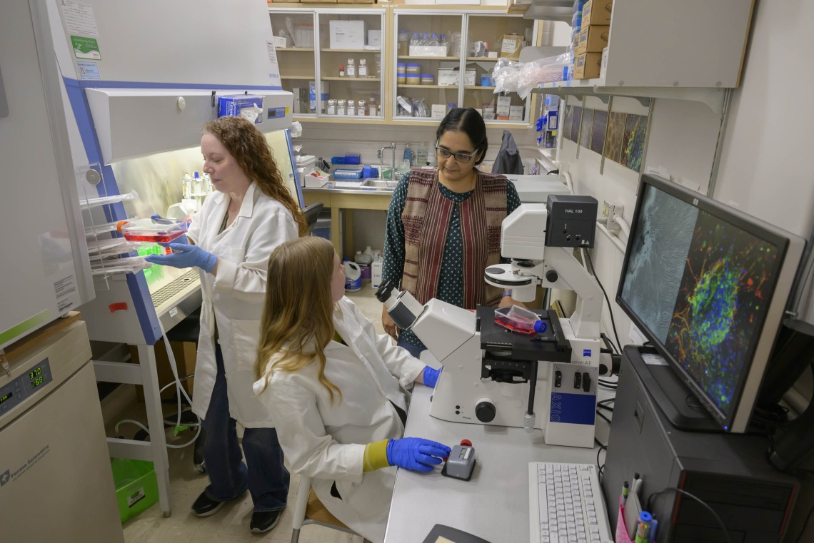 Lalitha Madhavan, MD, PhD, and her research team used induced pluripotent stem cell technology to reprogram adult skin cells into brain cells to study Parkinson’s disease. (University of Arizona Health Sciences)