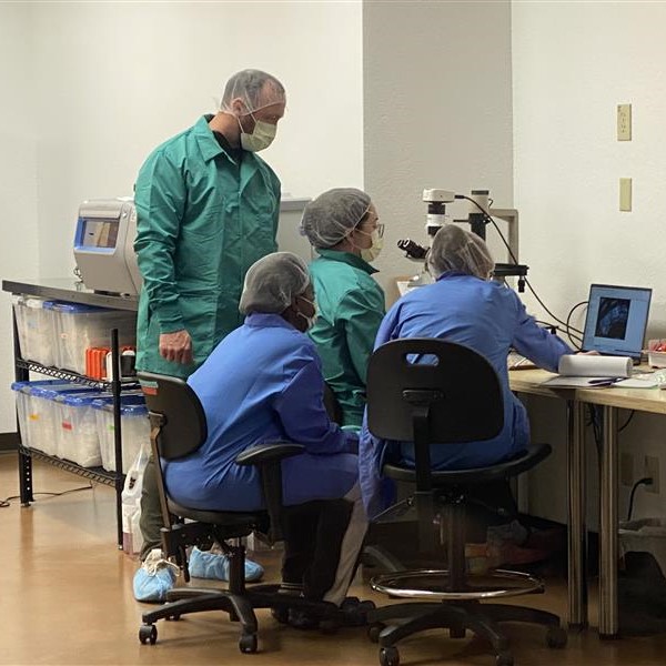 Avery Therapeutics, Inc. Completes In-House cGMP Manufacturing Facility ...