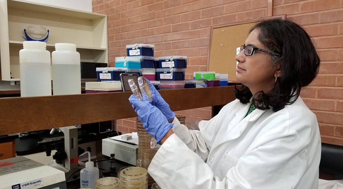 Dr. Sadhana Ravishankar, one of the five University of Arizona innovators named to the National Academy of Inventors.
