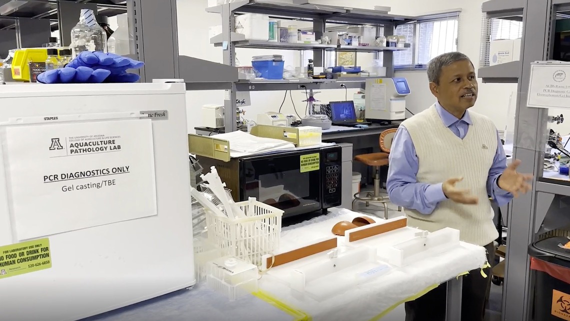 Arun Dhar, an associate professor in  the College of Agriculture, Life and Environmental Sciences, is one of the inventors of a technology solution for addressing diseases in fish and crustaceans, commercialized by the startup AQVac.Paul Tumarkin/Tech Launch Arizona