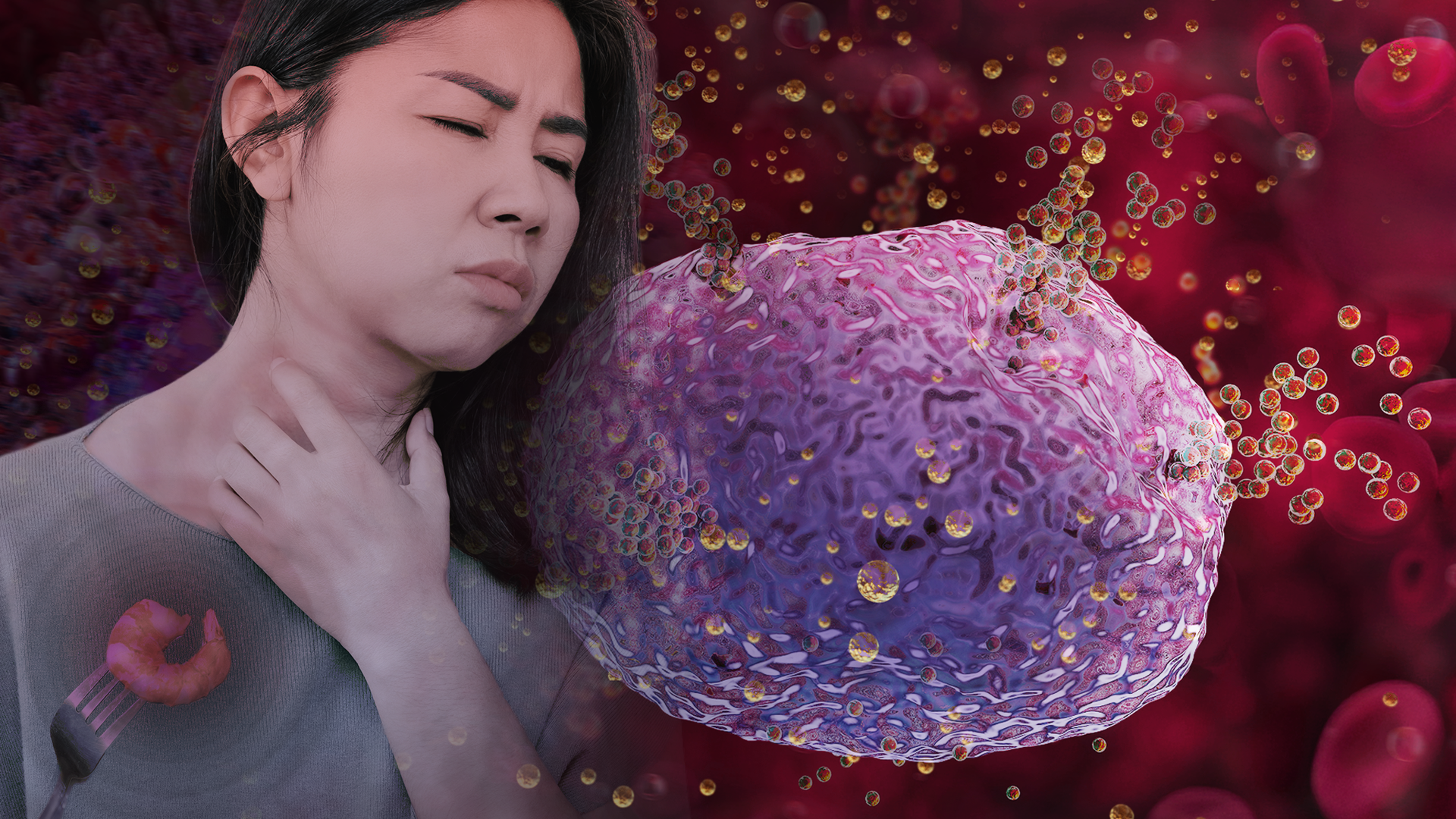 Collage of images of a person holding their throat and an enlarged immune cell. Until recently, scientists had little insight into why food allergens can provoke such a dangerous chain reaction in the body. A new study has uncovered an unexpected source: immune cells in the gut that release potent chemical signals capable of setting off anaphylaxis. Graphic by Jason Drees
